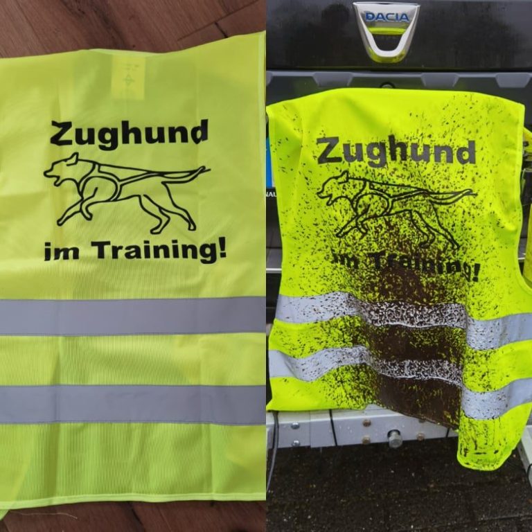 Reitergruppe im Dunkeln